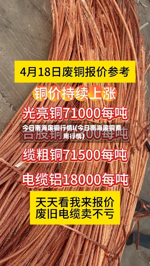 今日南海废铜行情l(今日南海废铜费用行情)