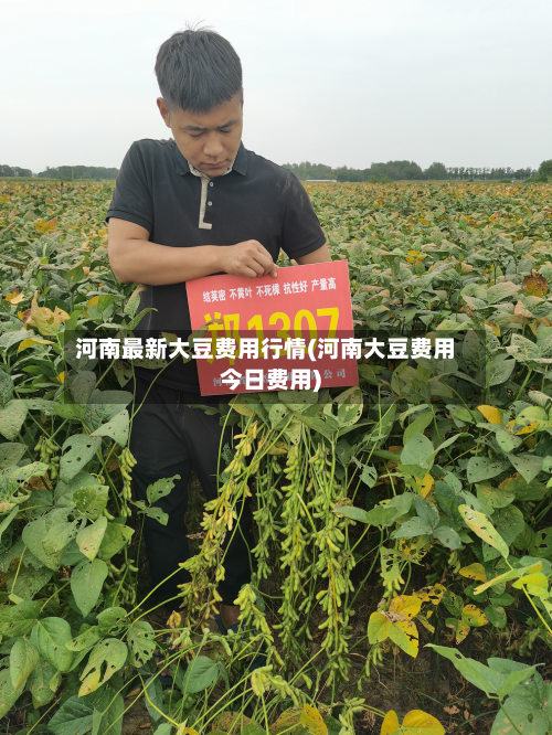 河南最新大豆费用行情(河南大豆费用今日费用)-第3张图片
