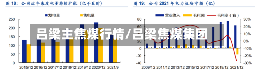 吕梁主焦煤行情/吕梁焦煤集团-第2张图片