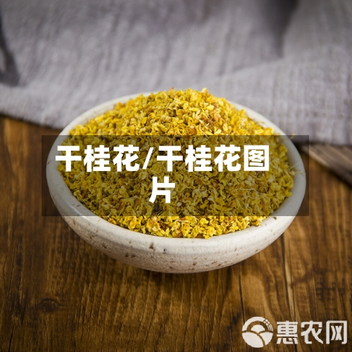 干桂花/干桂花图片-第2张图片