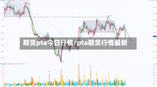 期货pta今日行情/pta期货行情最新-第3张图片