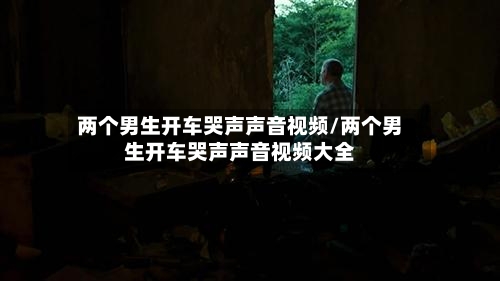 两个男生开车哭声声音视频/两个男生开车哭声声音视频大全-第2张图片