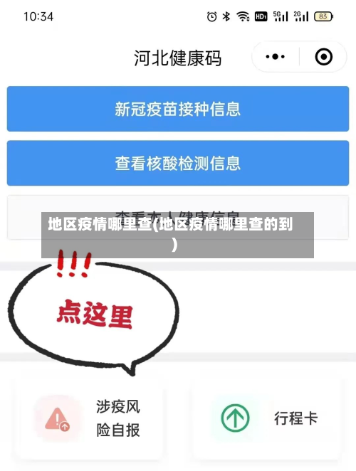 地区疫情哪里查(地区疫情哪里查的到)