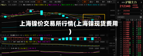 上海镍价交易所行情(上海镍现货费用)