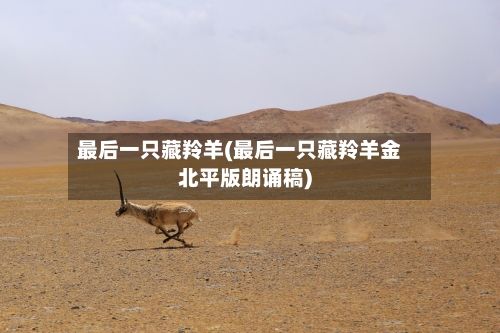 最后一只藏羚羊(最后一只藏羚羊金北平版朗诵稿)-第3张图片