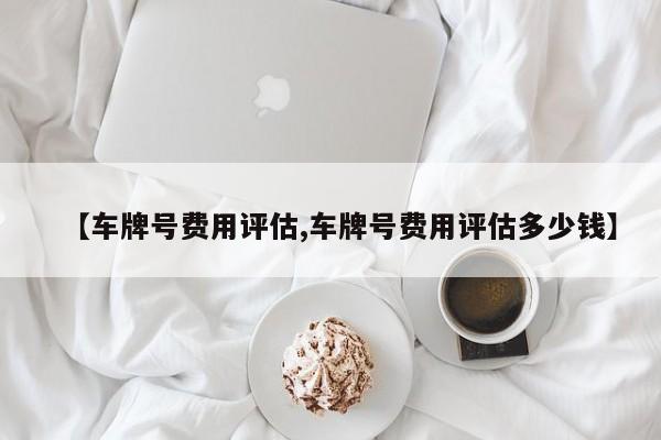 【车牌号费用评估,车牌号费用评估多少钱】