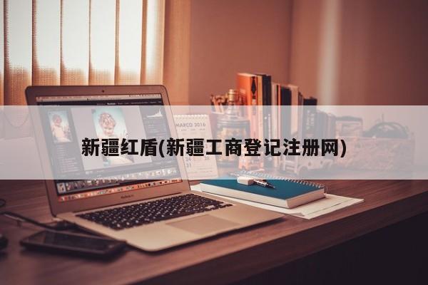 新疆红盾(新疆工商登记注册网)