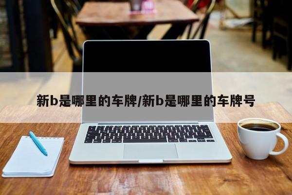 新b是哪里的车牌/新b是哪里的车牌号