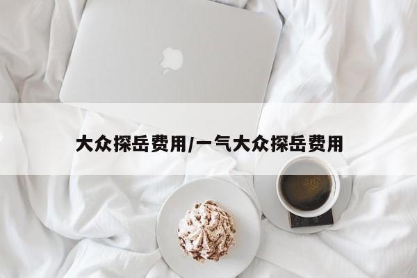 大众探岳费用/一气大众探岳费用